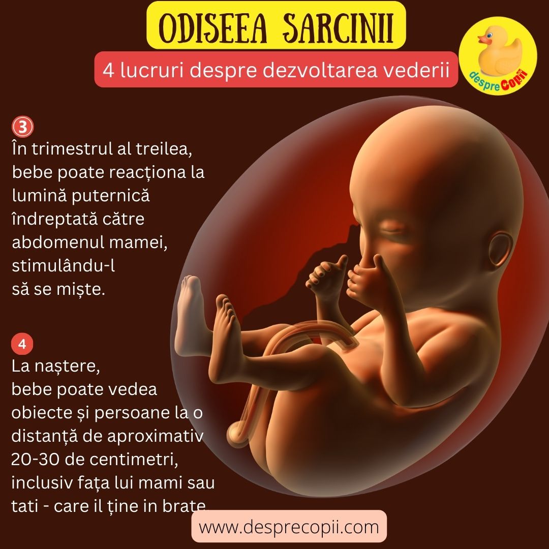 dezvoltarea  vederii bebe sarcina