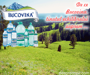 De ce Bucovina, tinutul echilibrului suprem ...