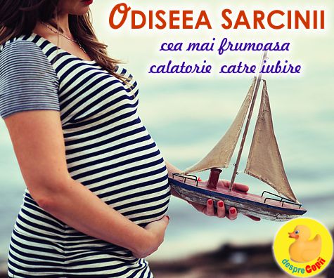 Jurnal de sarcina, pe zile