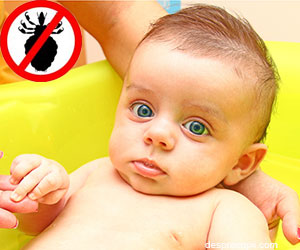 Ce faci daca bebelusul tau are paduchi?