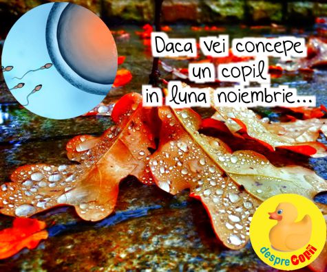 Daca vei concepe un copil in luna noiembrie: la ce trebuie sa te astepti