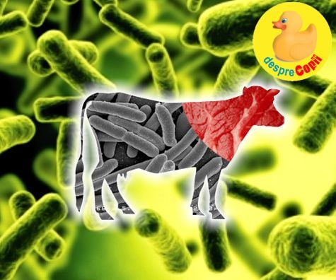 e-coli-infectie-2292016.jpg