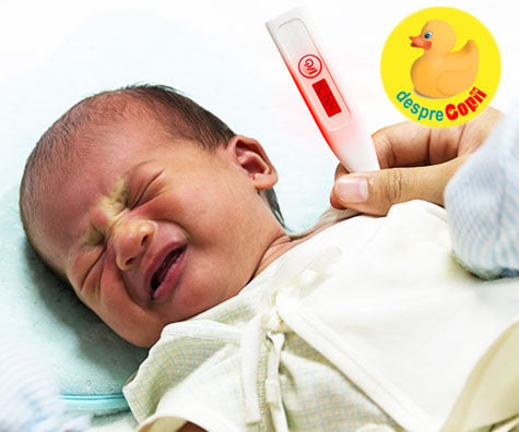 Prima febra a bebelusului -  cum o tratam - 9 sfaturi de la sfatul medicul pediatru