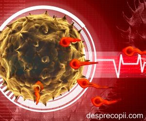 Legatura dintre fertilitate si orgasm