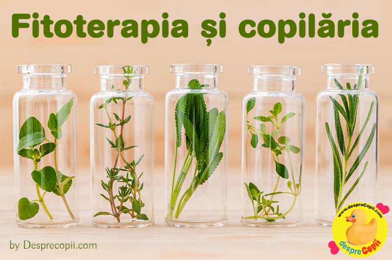 Fitoterapia si copilaria