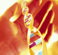 Atotputernicul arbore genealogic