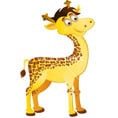 Girafa