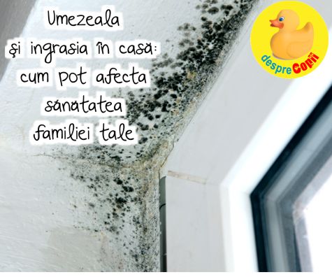 Umezeala si ingrasia in casa: cum pot afecta sanatatea familiei tale