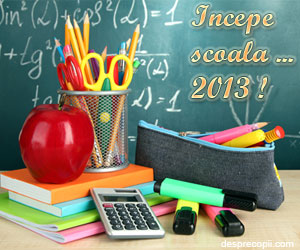 Progamul anului scolar 2013-2014