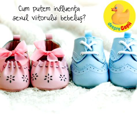 Cum putem influenta sexul viitorului bebelus?