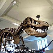 Jurnal de calatorie - New York - ep.6
