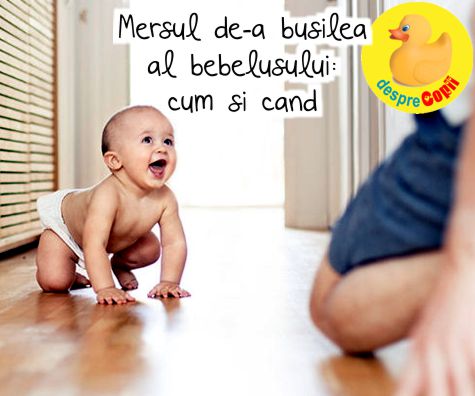 Mersul de-a busilea al bebelusului: cum si cand