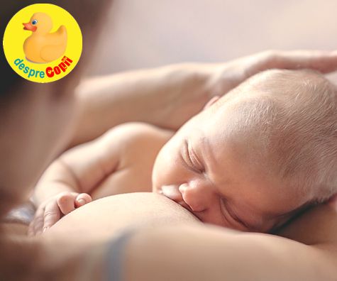 5 probleme in alaptare si solutii pentru rezolvarea lor