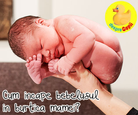 Cum sta bebelusul in burtica mamei? Iata in ce pozitie