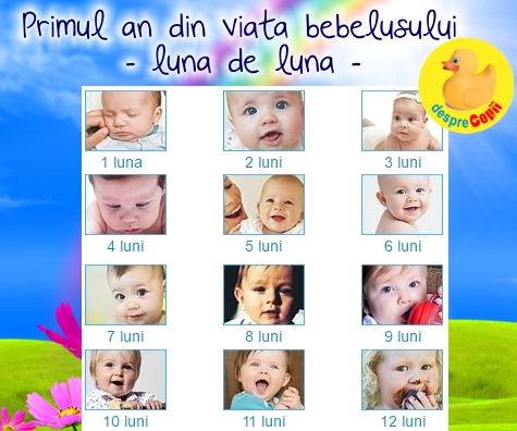 Primele 12 luni ale bebelusului: ghid pe luni