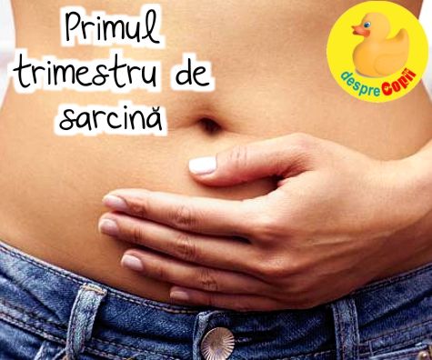 Primul trimestru de sarcina: saptamanile esentiale pentru fat