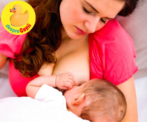 Problemele in alaptare exista: ghid complet si solutii care functioneaza