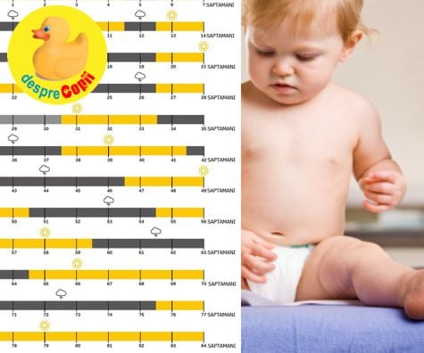 Infografic al celor 10 puseuri de crestere ale bebelusului