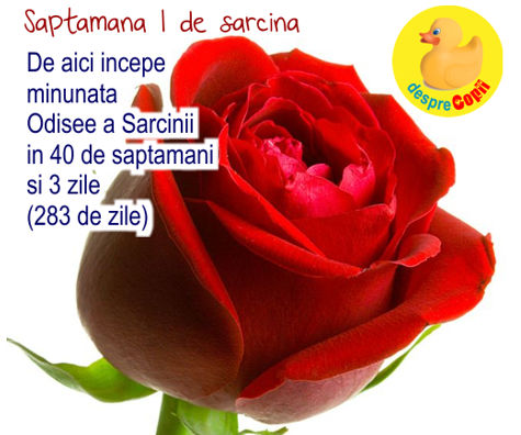 Saptamana 1 de sarcina