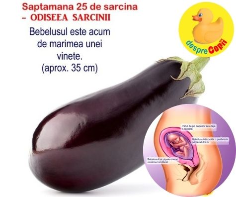 Saptamana 25 de sarcina -  bebe dezvolta de acum o preferinta pentru dulciuri (VIDEO)