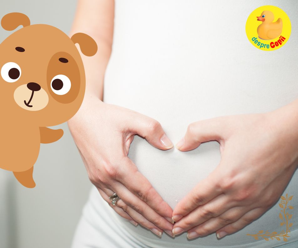 Saptamana 26 sau cand bebe iti raspunde pentru prima data din burtica - jurnal de sarcina