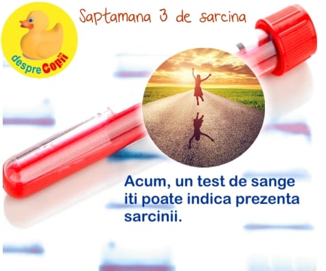 Saptamana 3 de sarcina