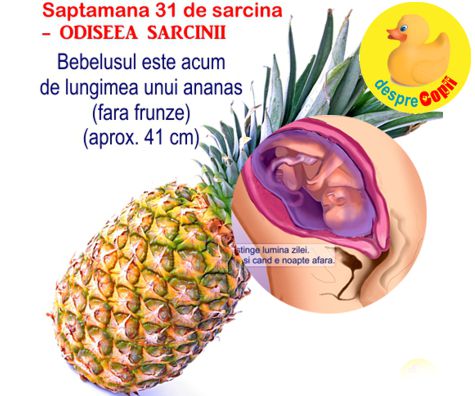 Saptamana 31-a de sarcina