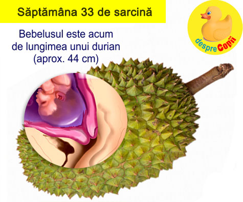 Saptamana 33 de sarcina -  de acum bebe are simtul gustului si incepe sa aiba preferinte culinare (VIDEO)