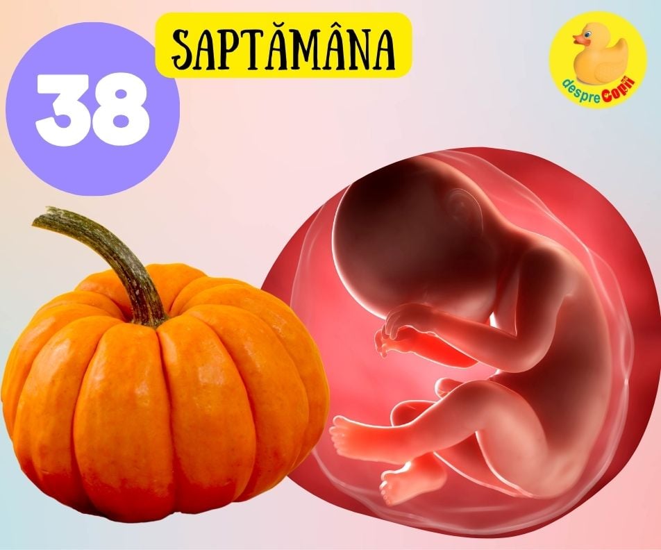 Saptamana 38 de sarcina -  bebe poate sa planga si e foarte inghesuit acolo deci misca mai greu (VIDEO)