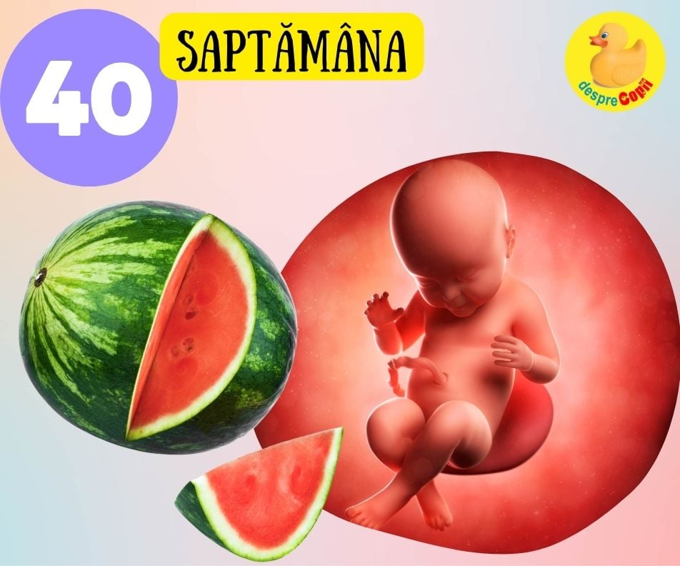 Saptamana 40 de sarcina - bebe este pregatit sa vina pe lume (cu VIDEO)