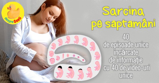 Sarcina pe saptamani