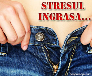 Cum afecteaza stresul greutatea