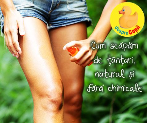 Solutii naturale impotriva tantarilor- fara chimicale