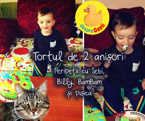 Tortul de 2 anisori: peripetii cu Sebi, Billy, BamBam si pisica