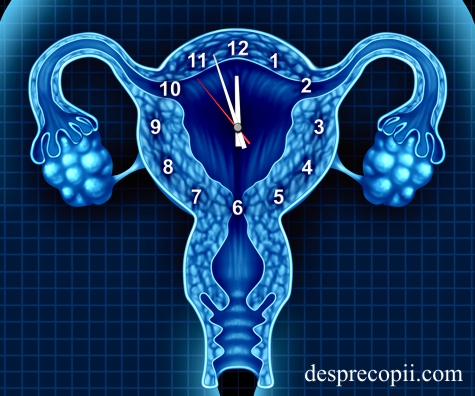 tulburari-ovulatie-22.jpg