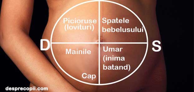 cartografierea burticii sarcina