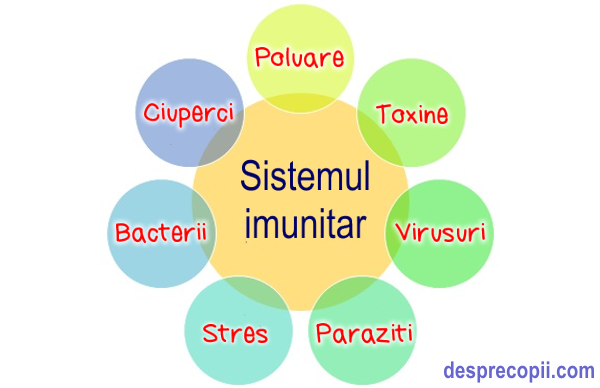 sistem imunitar copil