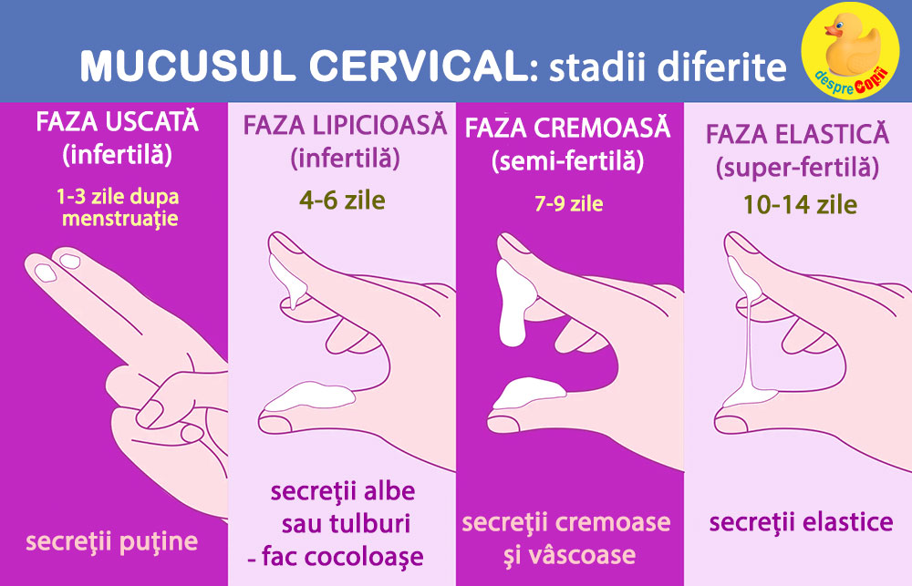mucus ovulatie