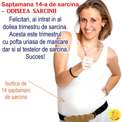 Cat de mare este burta in Saptamana 14 de sarcina -  de acum bebe are o amprenta unica  (cu VIDEO)