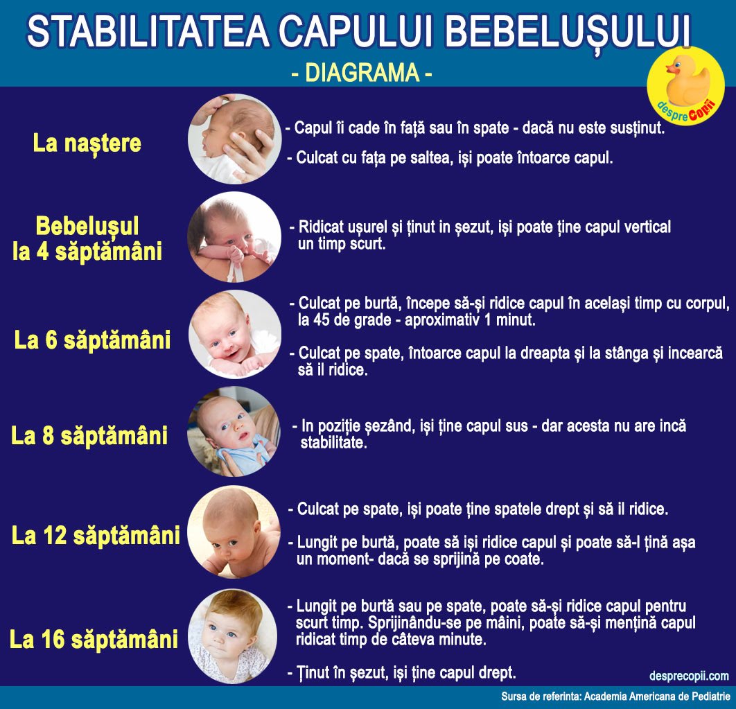 capul bebelusului diagrama de stabilitate