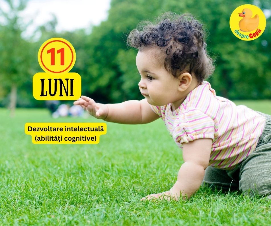 Bebelusul la 11 luni: Dezvoltare intelectuala (abilitati cognitive) - conexiuni si evenimente