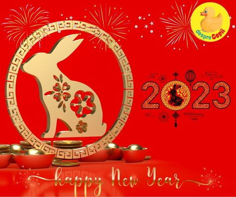 2023 - anul Iepurelui de Apa in zodiacul chinezesc ne va aduce ceea ce ne-a lipsit in 2022: pace si succes!