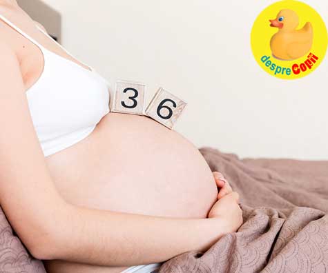 Saptamana 36: ganduri pe final de sarcina  - jurnal de sarcina