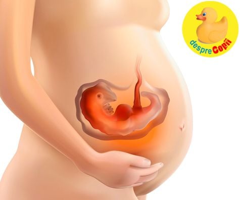 Acidul folic: cum protejeaza sarcina si de ce este numita vitamina de aur a sarcinii (infografic)