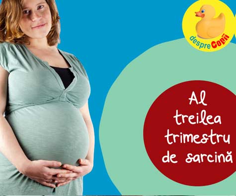 Al treilea trimestru de sarcina - trimestrul in care bebe si mami cresc vertiginos