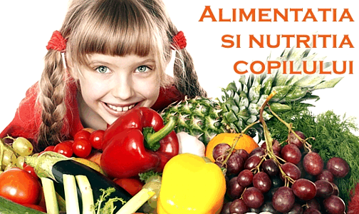 Alimentatie, Nutritie