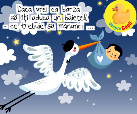 Daca vrei ca barza sa iti aduca un baietel iata ce trebuie sa mananci - mituri si legende