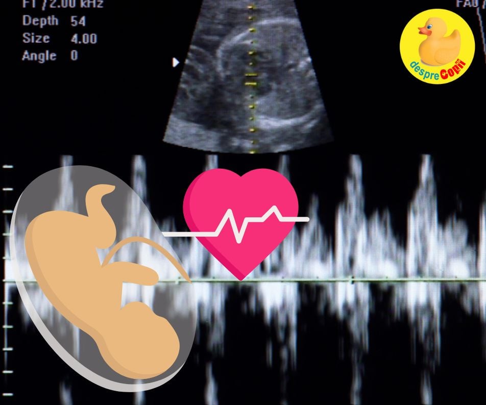 Saptamana 7 de sarcina: cel mai frumos sunet, cel al inimii copilului - jurnal de sarcina