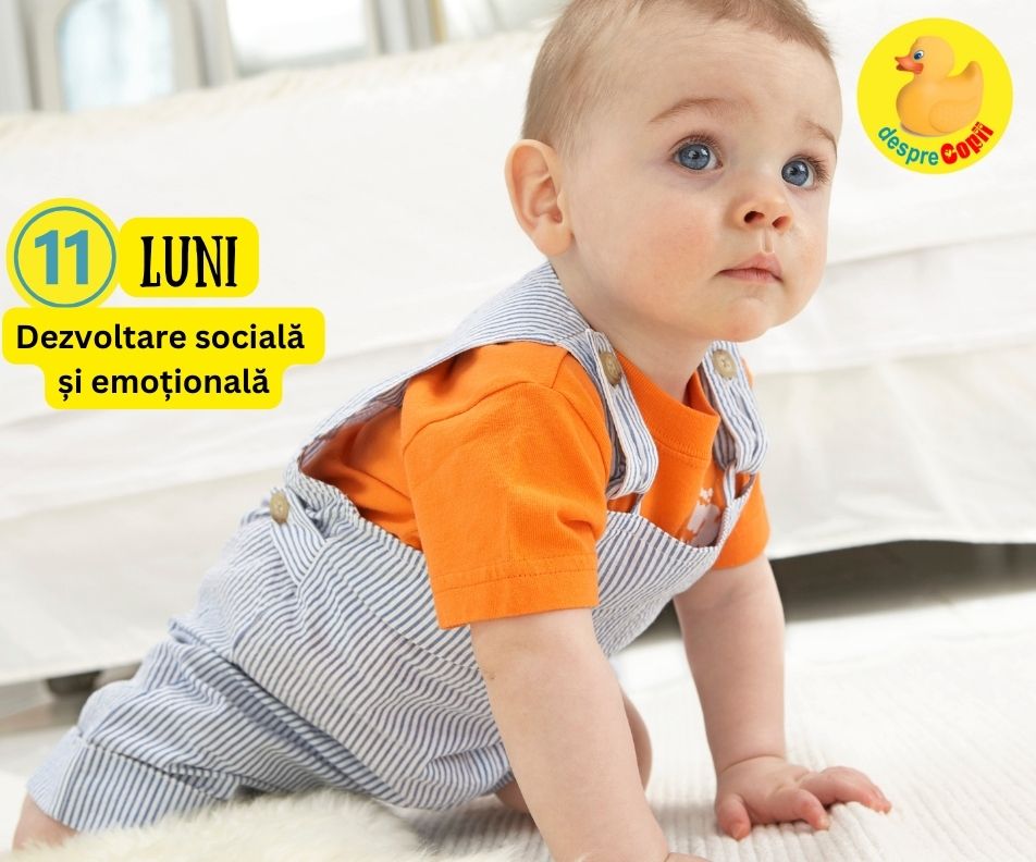 Etapele dezvoltarii sociale si emotionale la un bebe de 11 luni