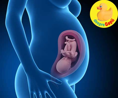 Intoarcerea bebelusului cu capul in jos in saptamana 28 de sarcina - jurnal de sarcina